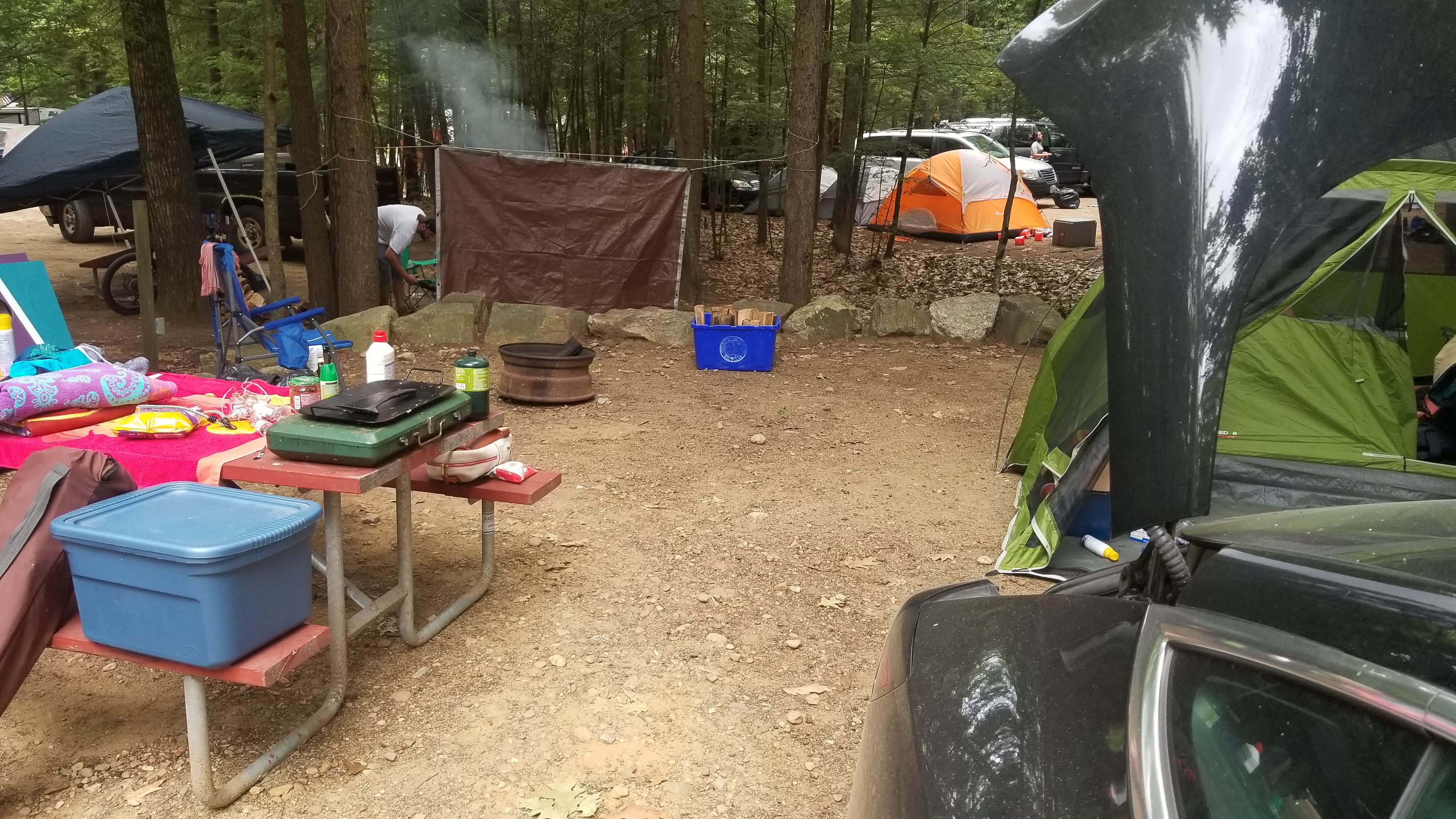 Camper submitted image from Friendly Beaver Campground - 1