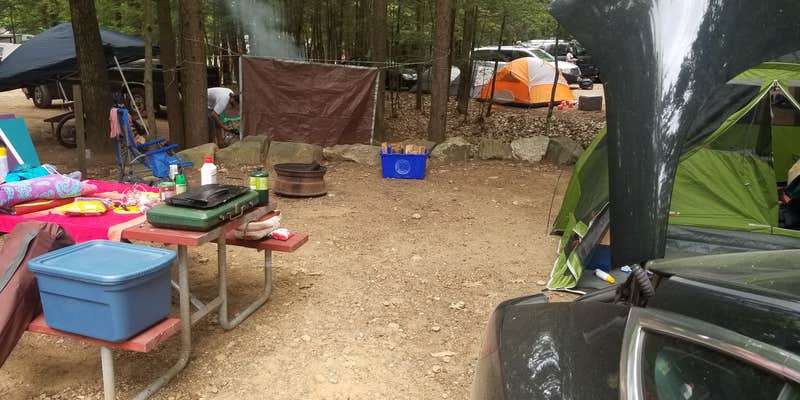 Camper submitted image from Friendly Beaver Campground