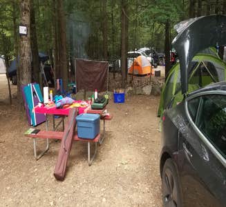 Camper-submitted photo from Bear Brook State Park Campground