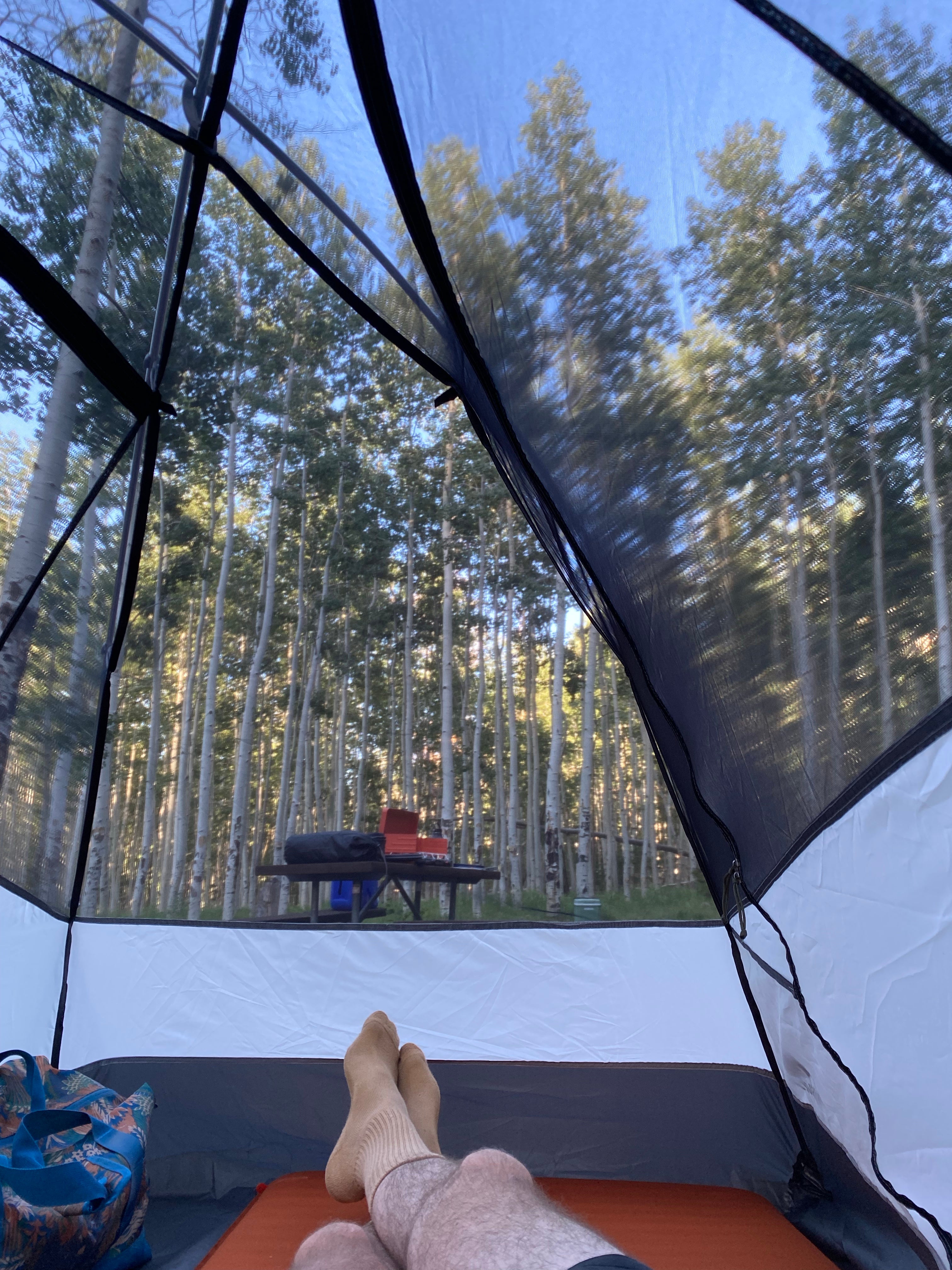 Camper submitted image from Lockett Meadow Campground - 4