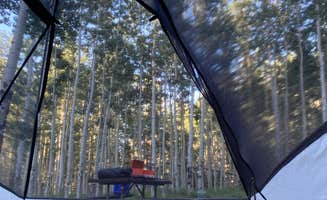 aaron F.'s photo of tent camping at Lockett Meadow Campground near Gray Mountain, AZ