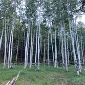 Review photo of Lockett Meadow Campground by aaron F., July 9, 2021