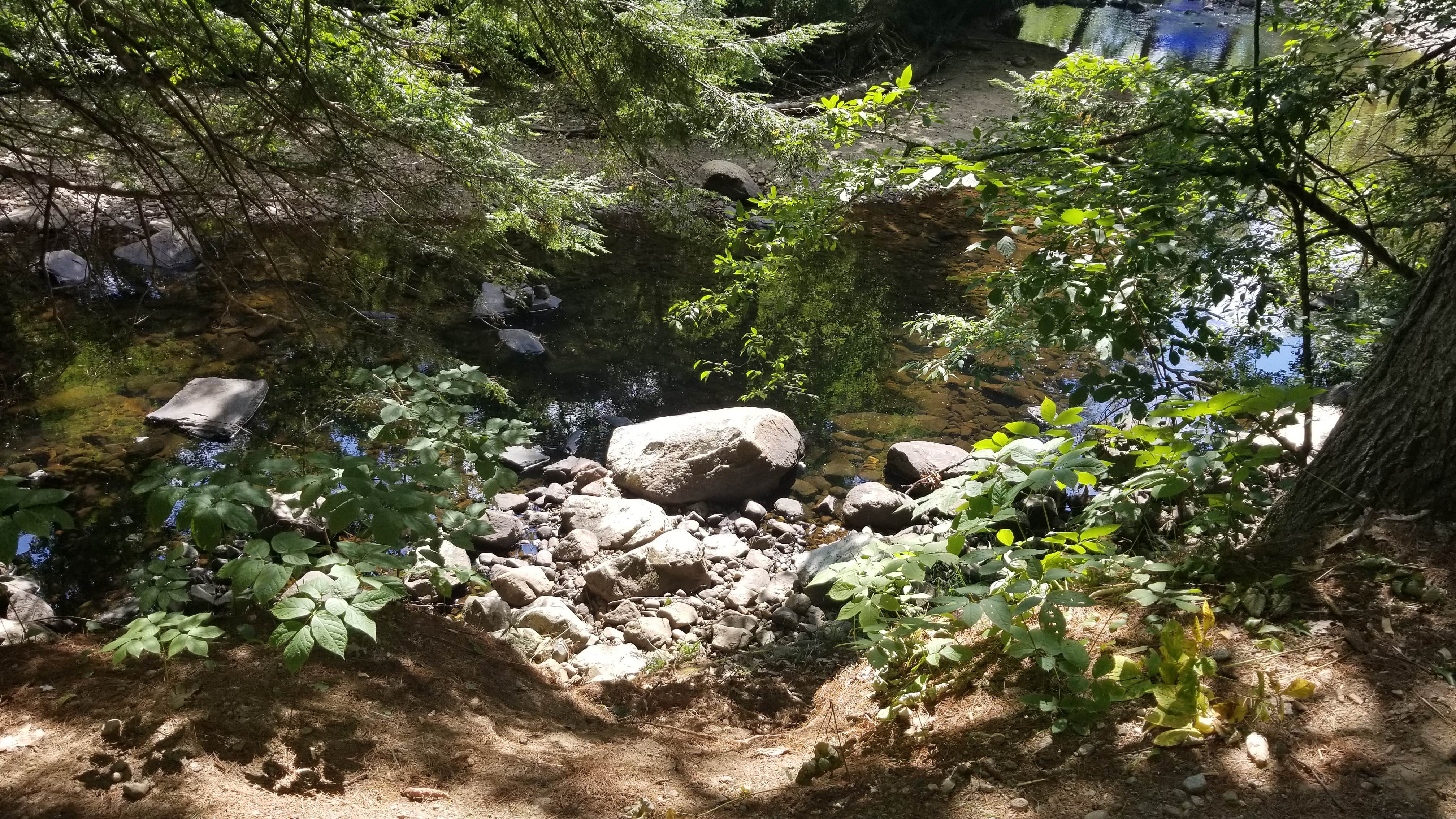 Camper-submitted photo at Pine Haven near Lyme, NH