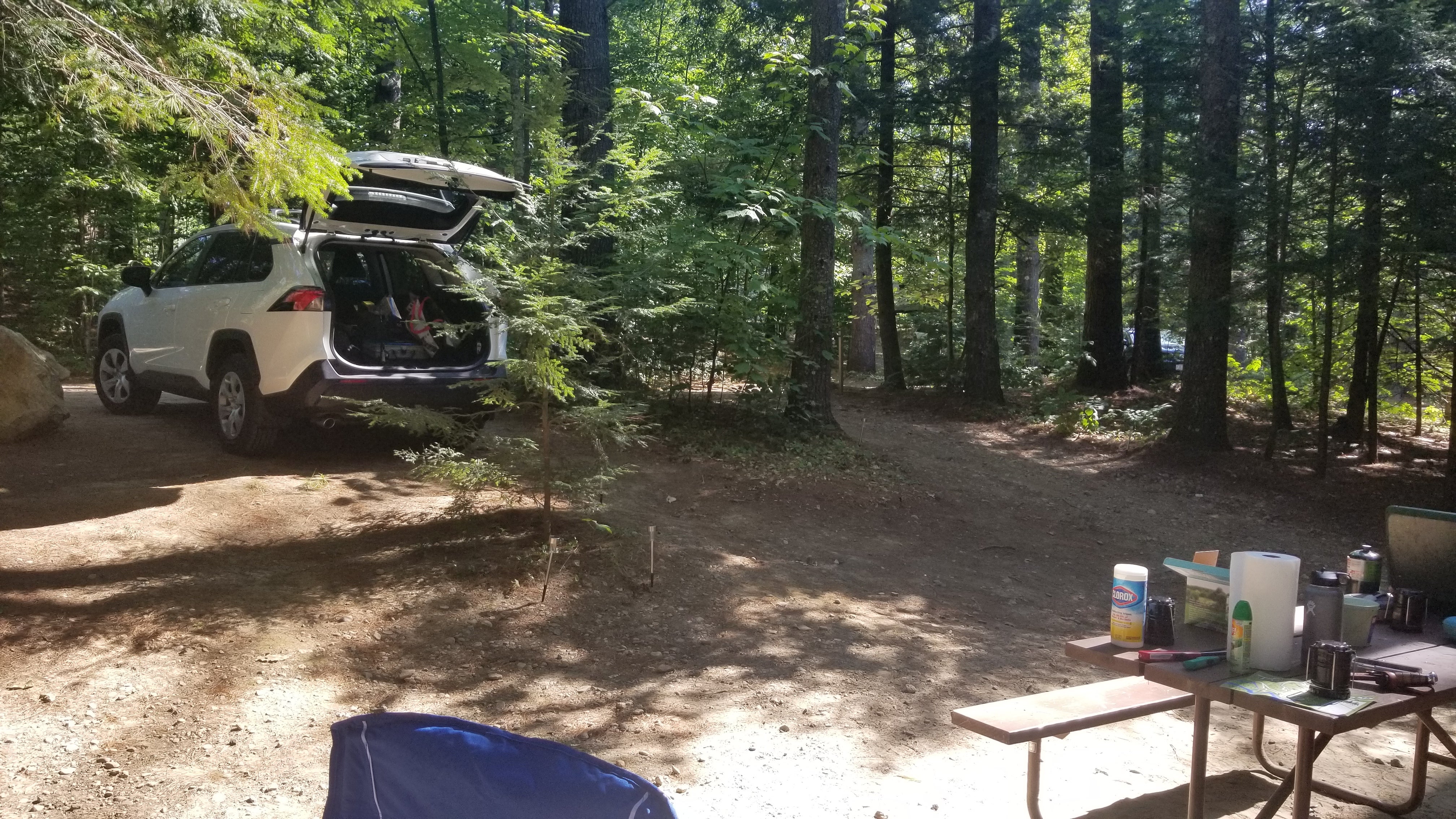 Camper submitted image from Pine Haven - 4