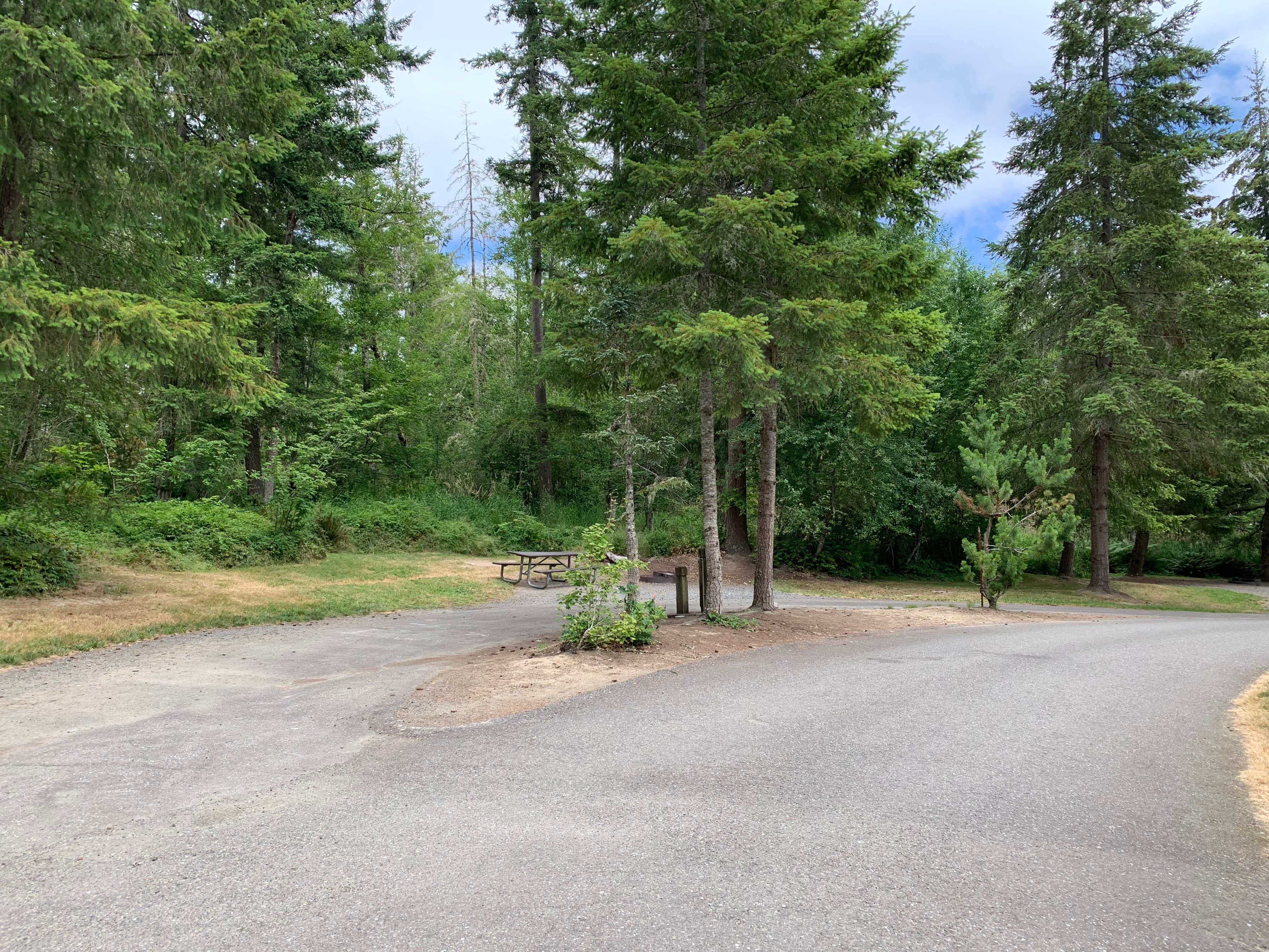 Alder Lake Campground The Dyrt