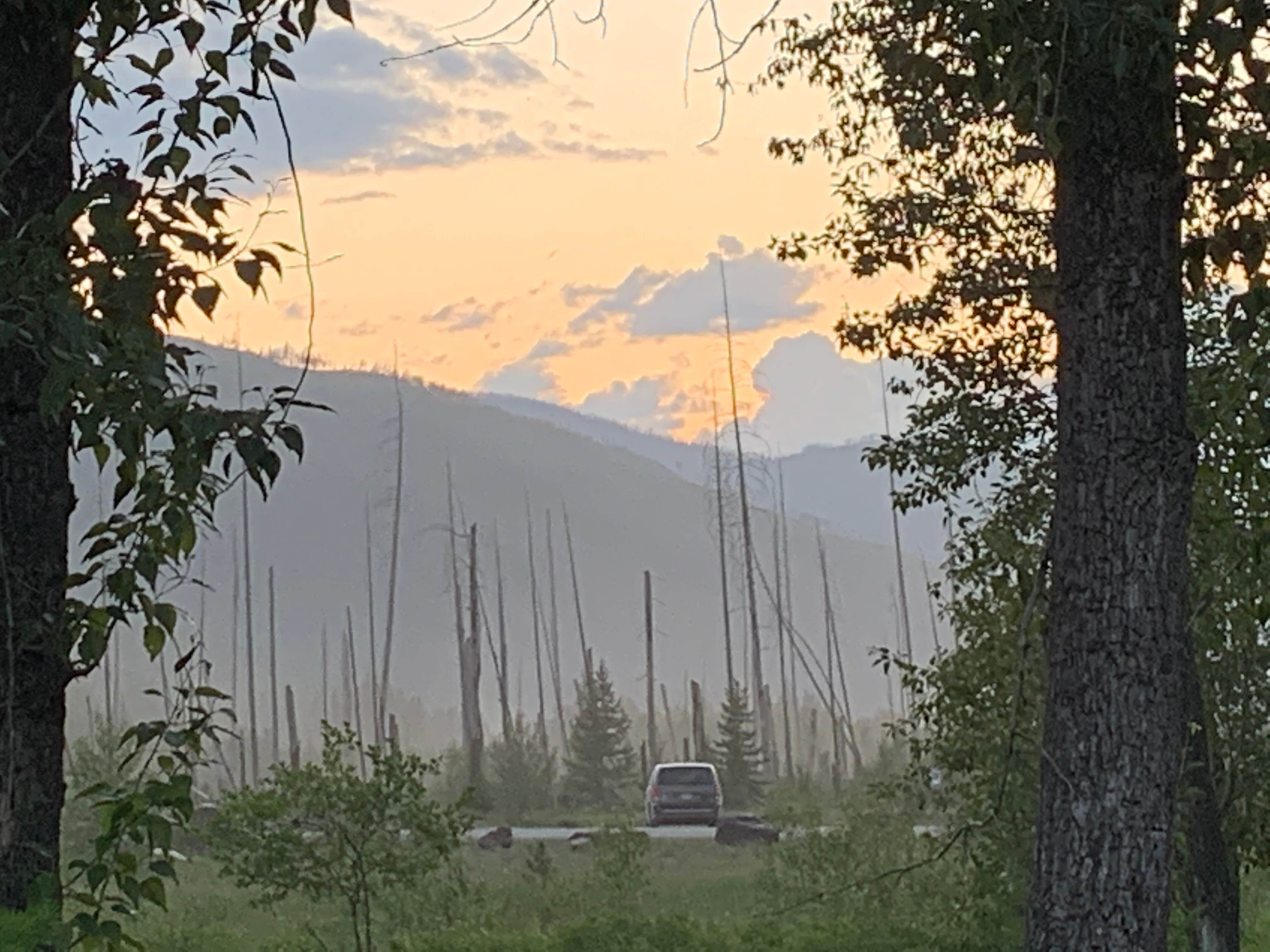 Camper submitted image from North fork Flathead River dispersed camping - 3