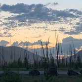 Review photo of North fork Flathead River dispersed camping by Brandon P., July 9, 2021