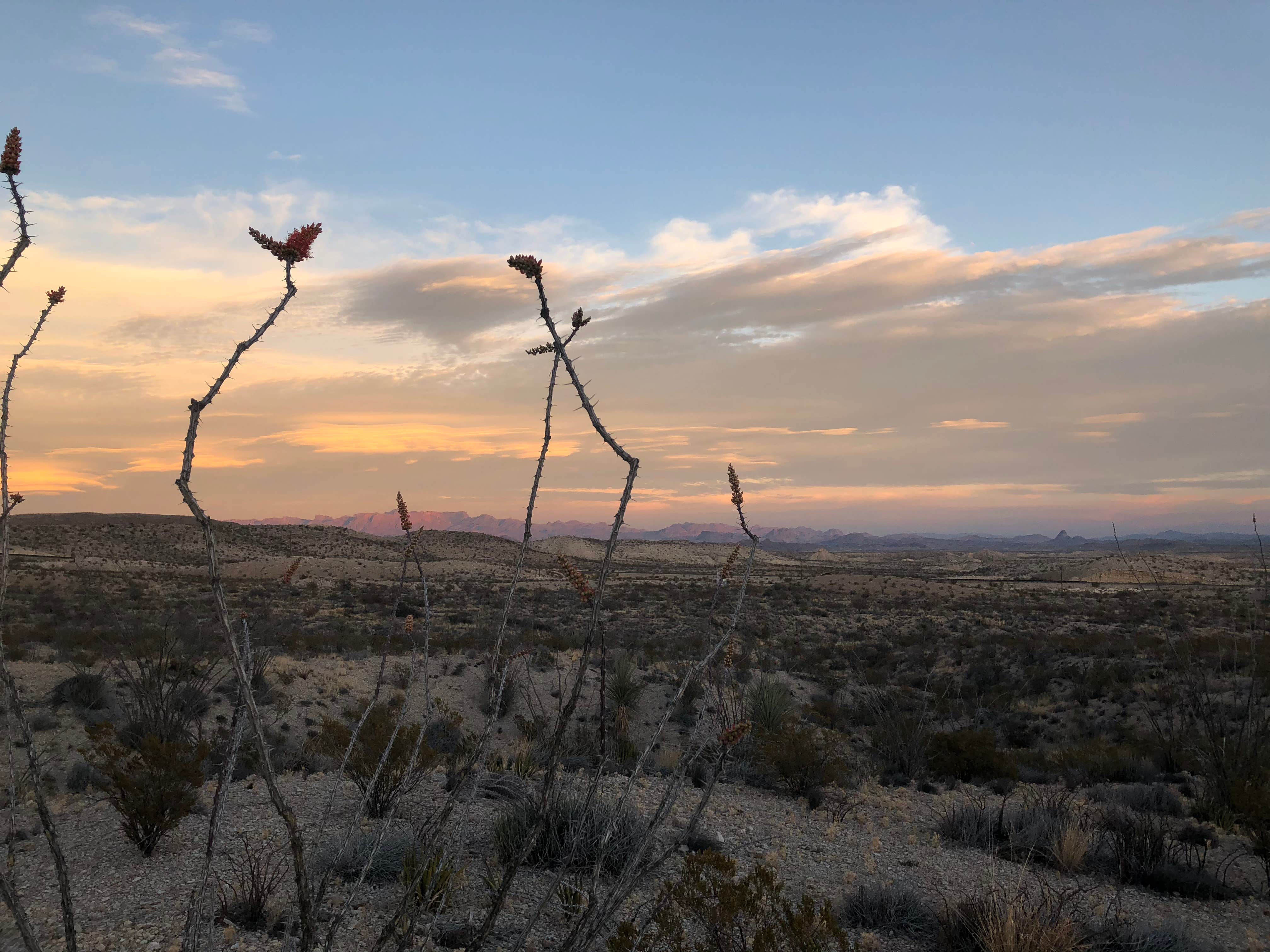 Camper-submitted photo at Rancho Topanga Campgrounds near Terlingua, TX