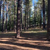 Review photo of Spillway (AZ) by Michael B., July 9, 2021