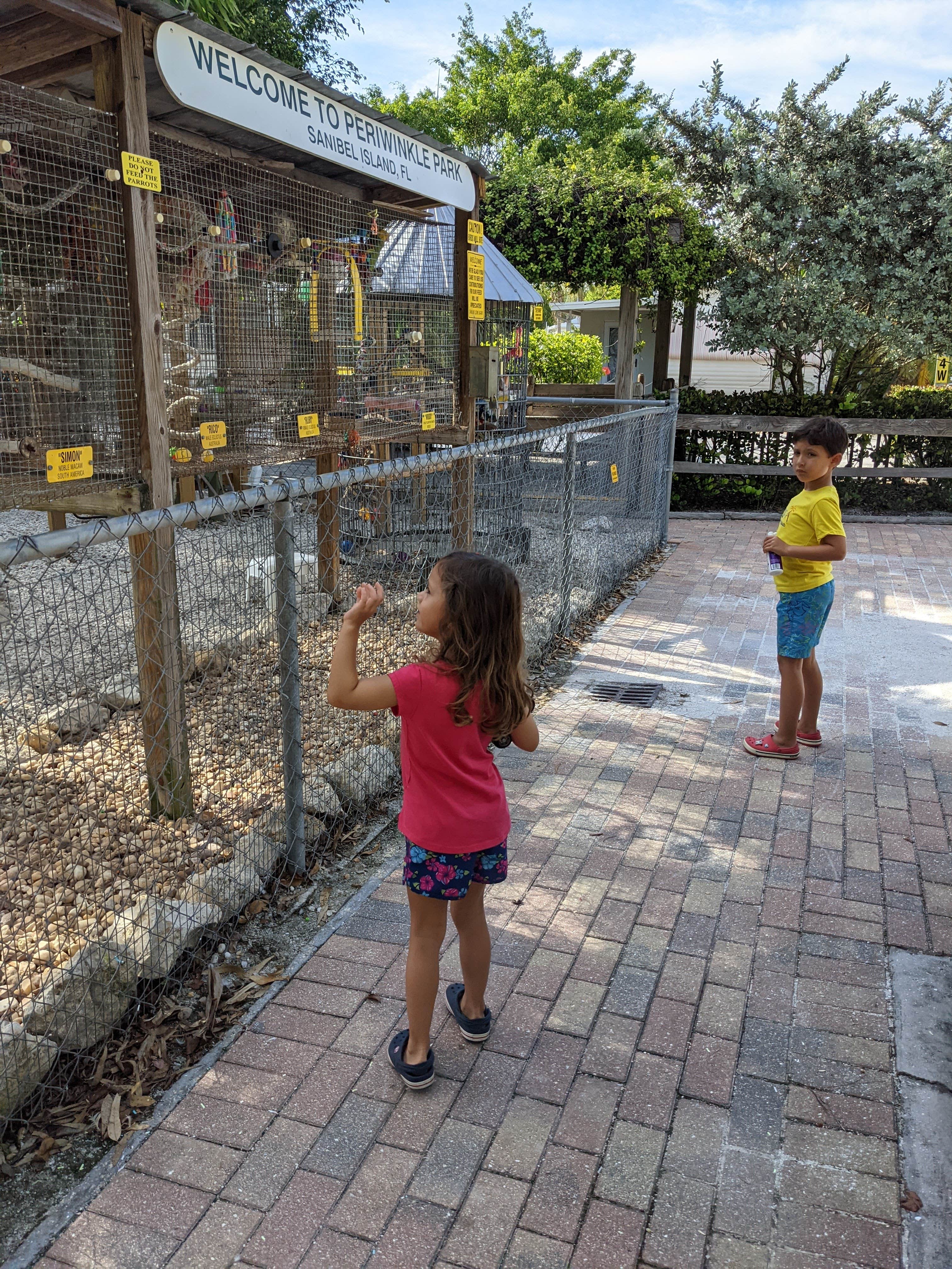 Camper submitted image from Periwinkle Park - 4