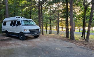 Rick's photo of rv camping at Piney Bay near Dover, AR