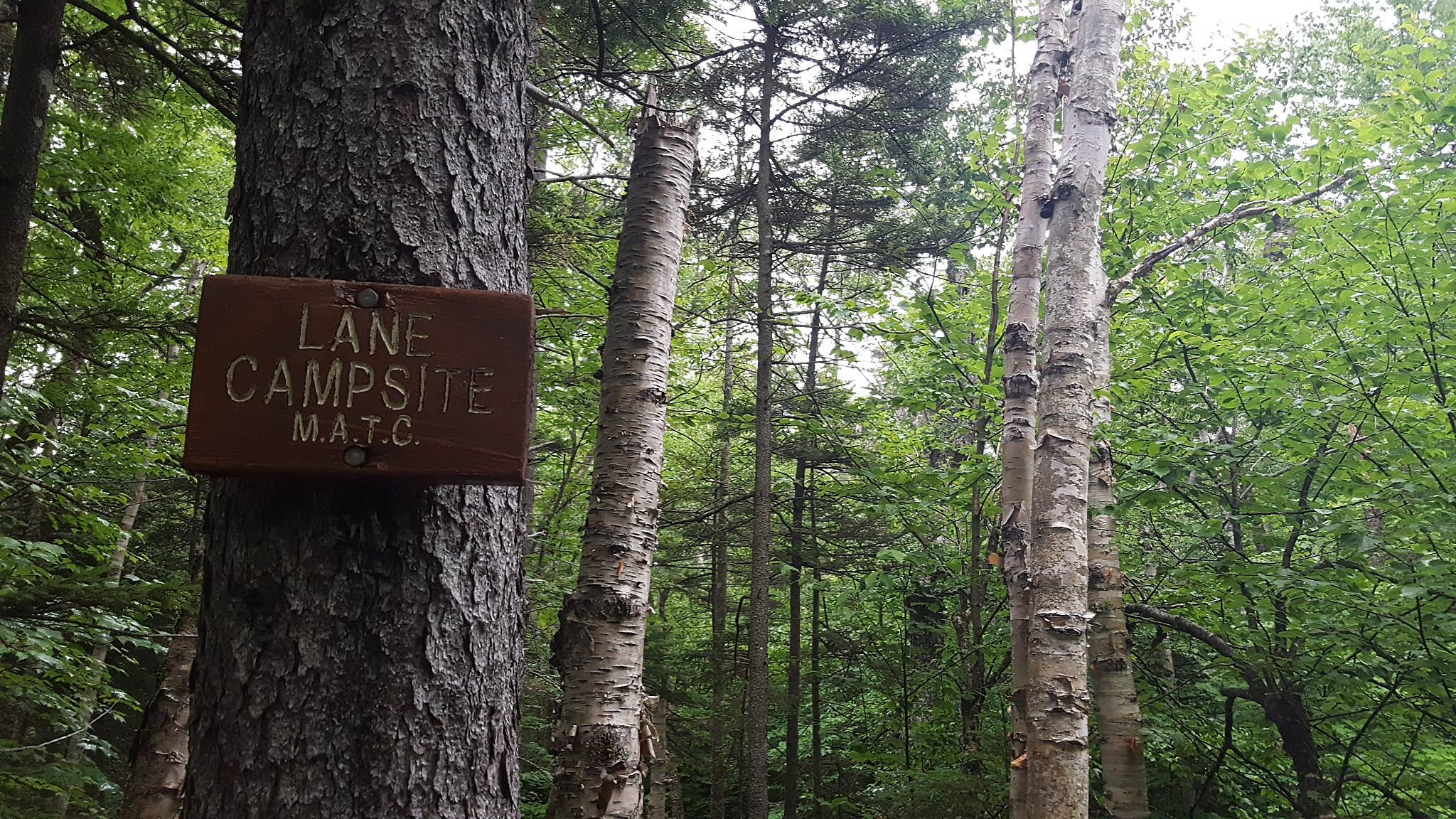 Camper-submitted photo at Grafton Loop Trail - Slide Campsite near Willimantic, ME