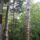 Review photo of Grafton Loop Trail - Slide Campsite by michael M., July 17, 2016