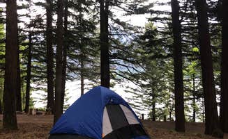 Matt K.'s photo at Home Valley Campground near Columbia River Gorge National Scenic Area