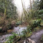 Review photo of Beverly Beach State Park Campground by Kathy B., July 9, 2021