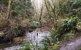 Kathy B.'s photo of camping with pets at Beverly Beach State Park Campground near Newport, OR