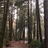 Review photo of Beverly Beach State Park Campground by Kathy B., July 9, 2021