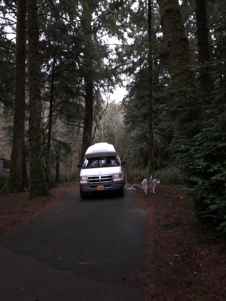 Kathy B.'s photo of camping with pets at Beverly Beach State Park Campground near Lincoln City, OR