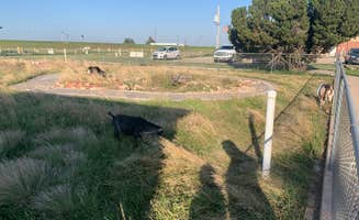 Jennifer H.'s photo of camping with pets at High Plains Camping near Colby, KS