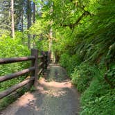 Review photo of Smith Creek Village — Silver Falls State Park by Lauren A., July 9, 2021