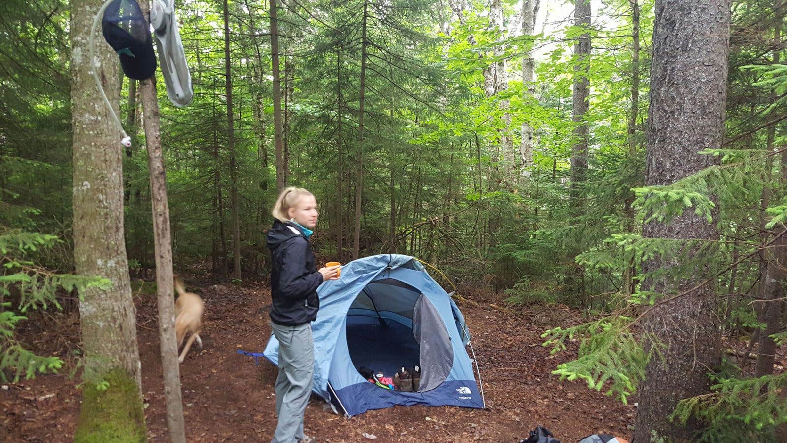 Camper submitted image from Grafton Loop Trail - Slide Campsite - 1