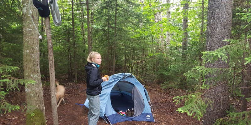 Camper submitted image from Grafton Loop Trail - Slide Campsite