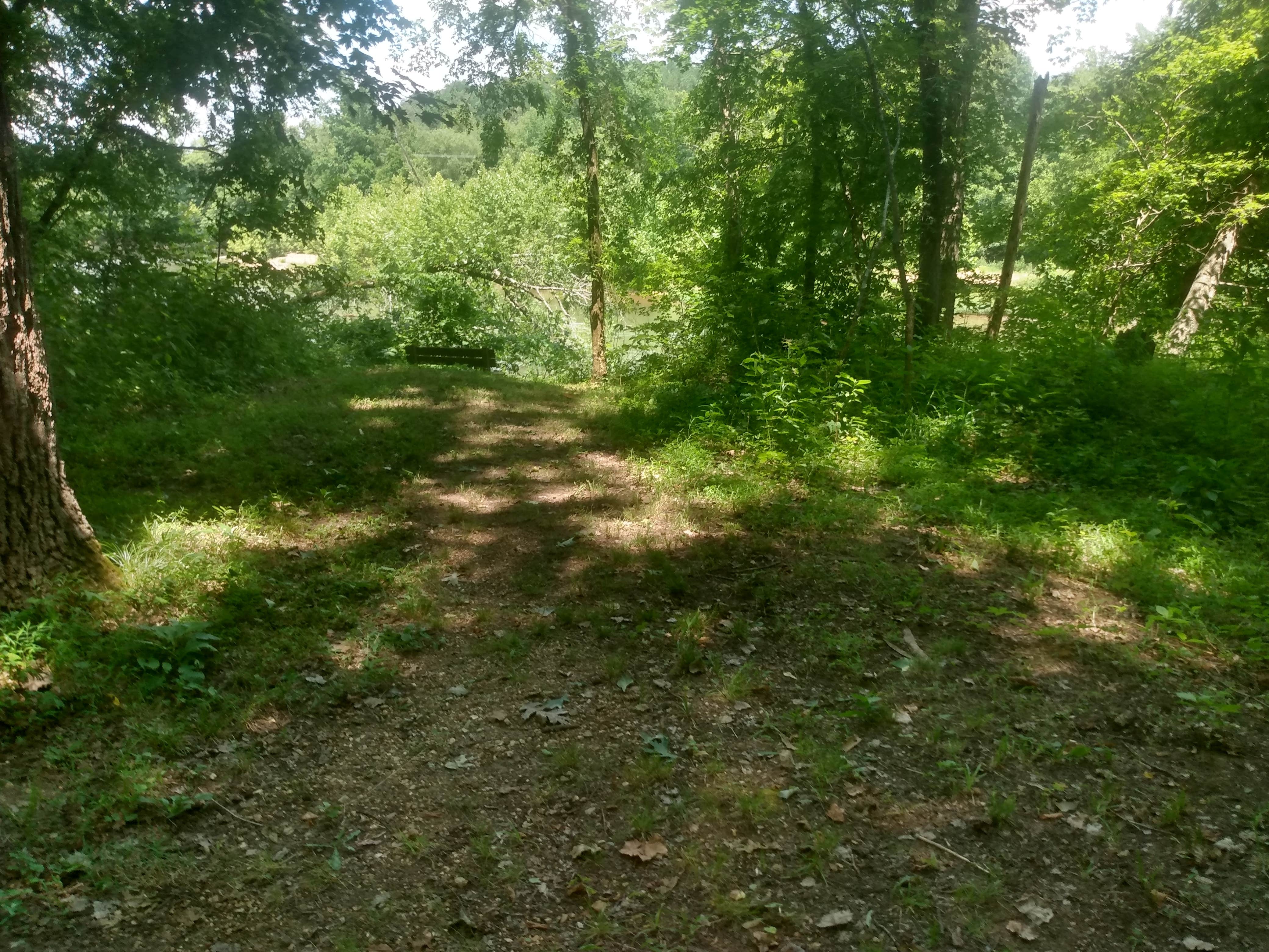 Camper submitted image from Markham Springs - 4