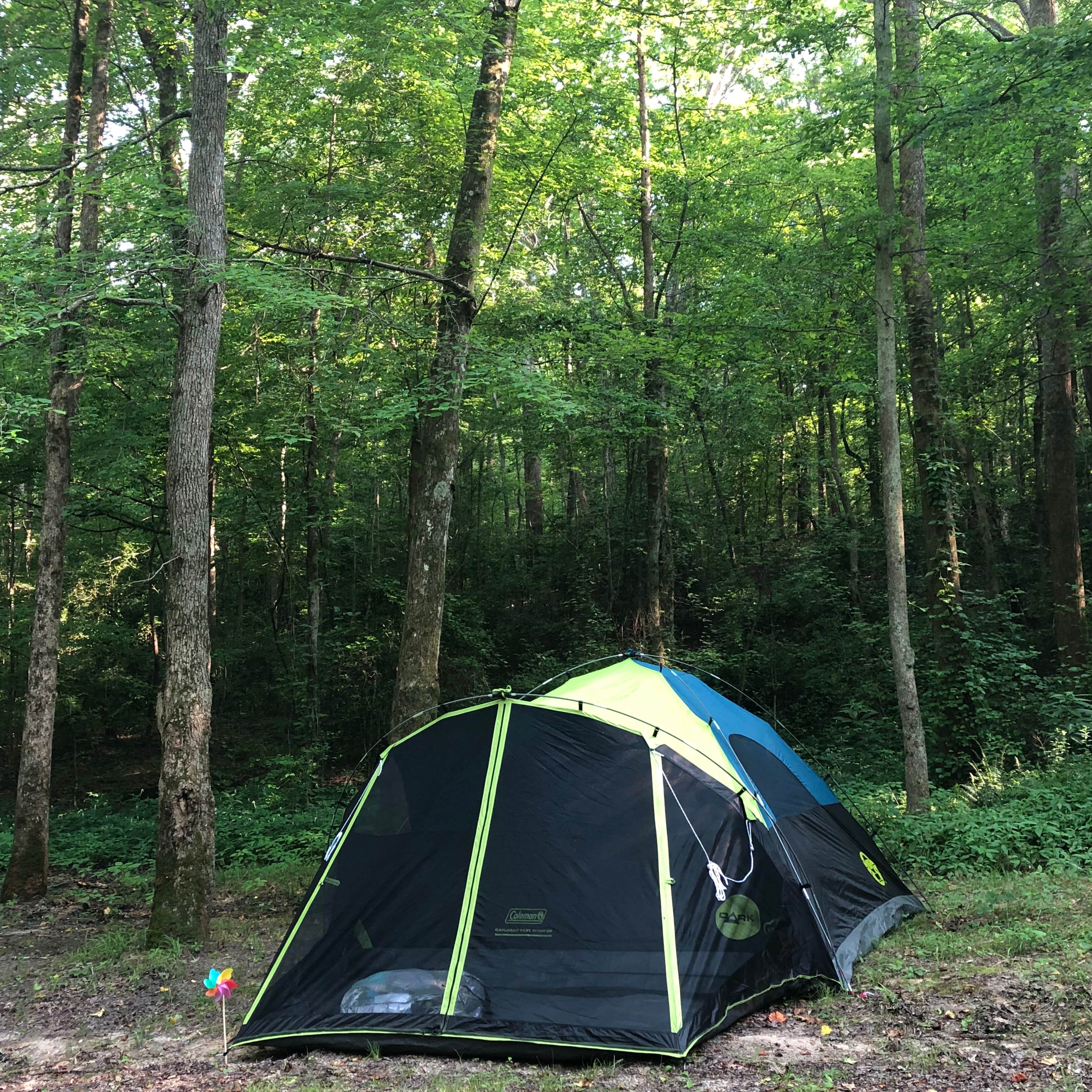 Camper submitted image from Pin Oak Campground — Natchez Trace State Park - 3