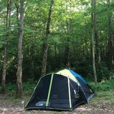 Review photo of Natchez Trace State Park Campground by Nicole B., June 13, 2018