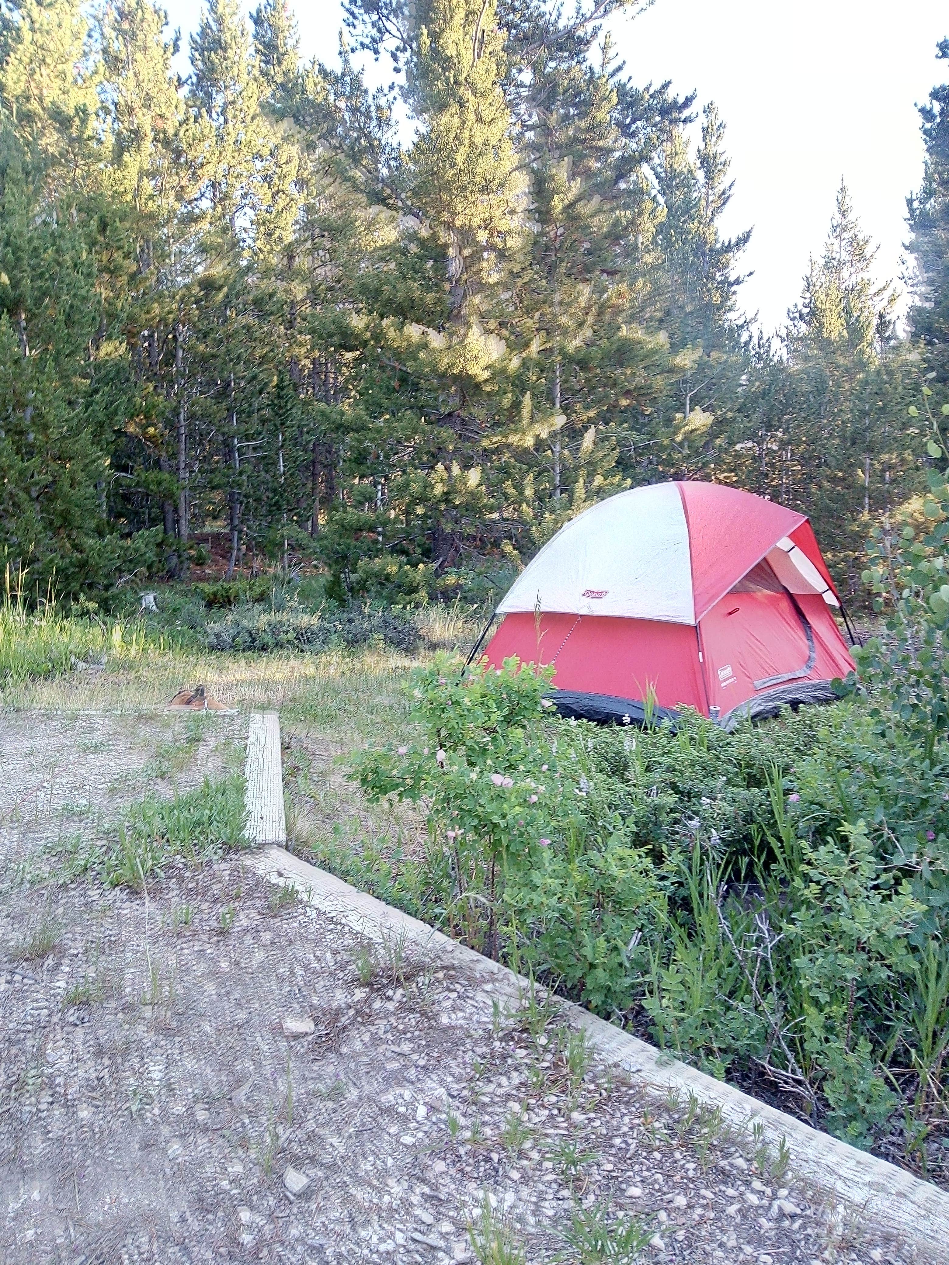 Camper submitted image from Atlantic City Campground — Bureau Of Land Management - 2