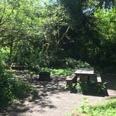 Review photo of Elk Prairie Campground — Prairie Creek Redwoods State Park by Jennifer M., June 13, 2018