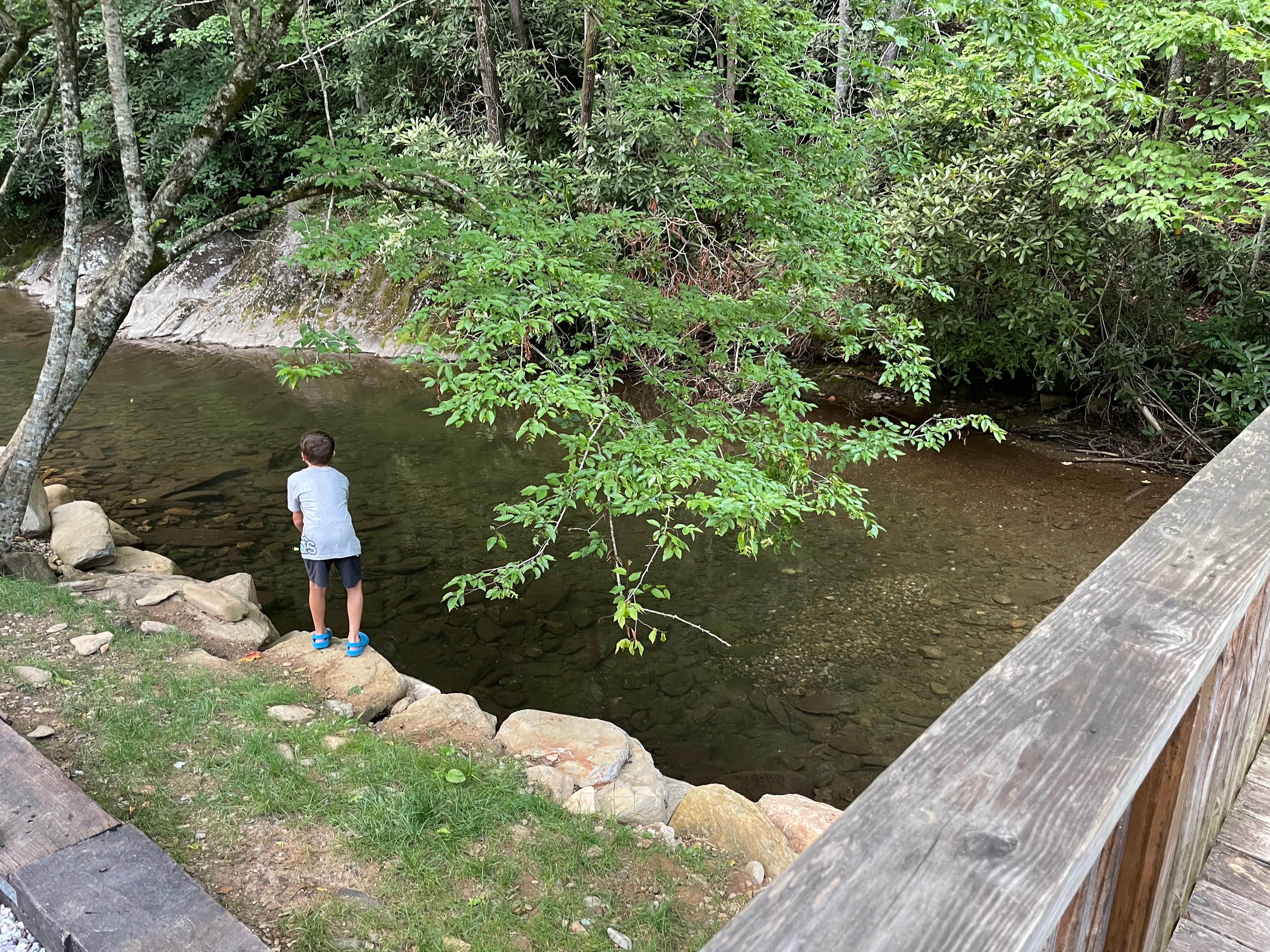 Camper-submitted photo at Mountain Stream RV Park near Ducktown, TN