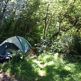 Review photo of Elk Prairie Campground — Prairie Creek Redwoods State Park by Jennifer M., June 13, 2018