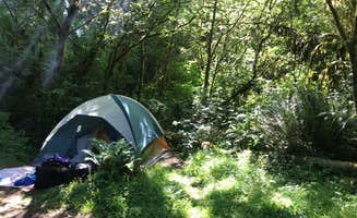 Jennifer M.'s photo at Elk Prairie Campground — Prairie Creek Redwoods State Park near Orleans, CA