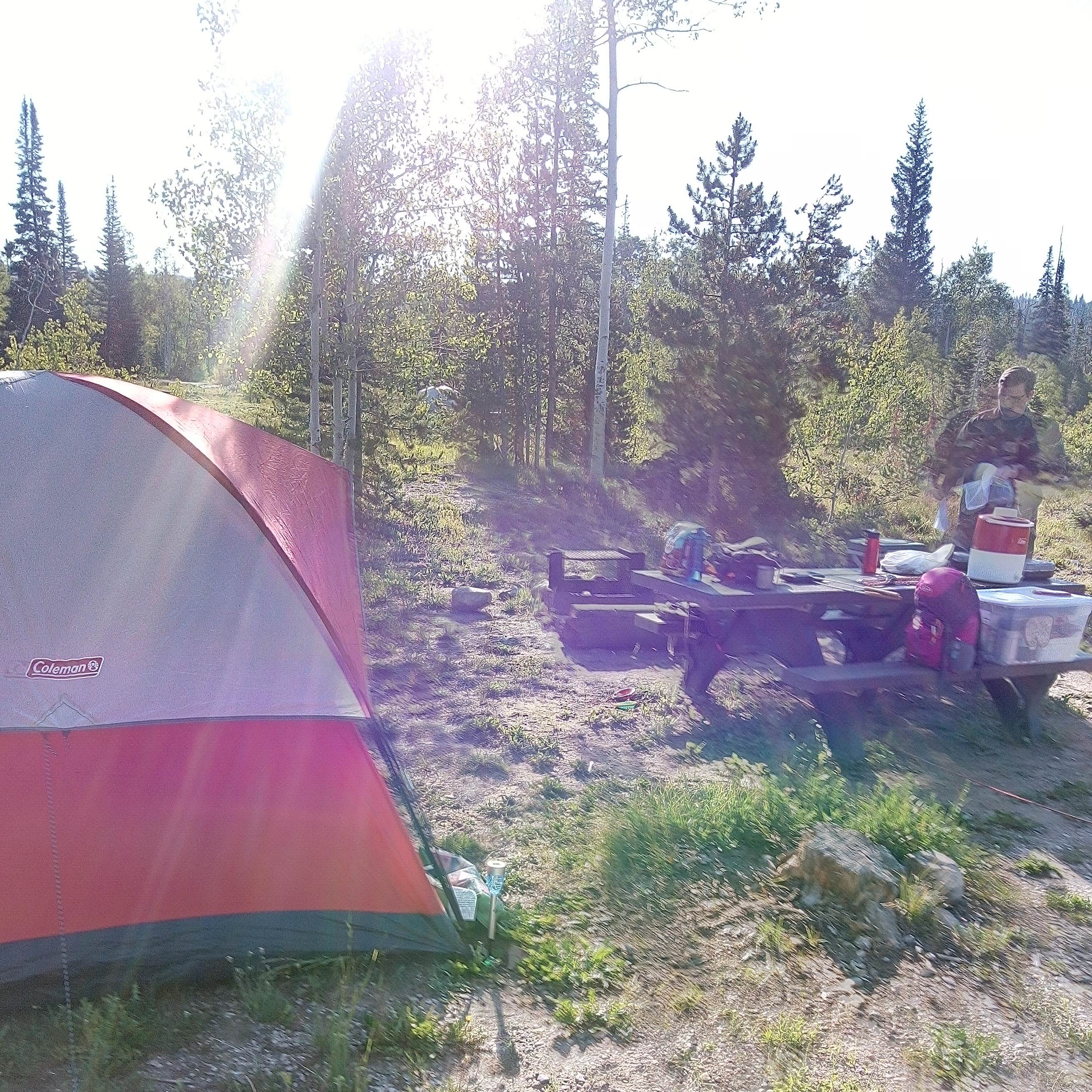 Ryan Park Camping The Dyrt