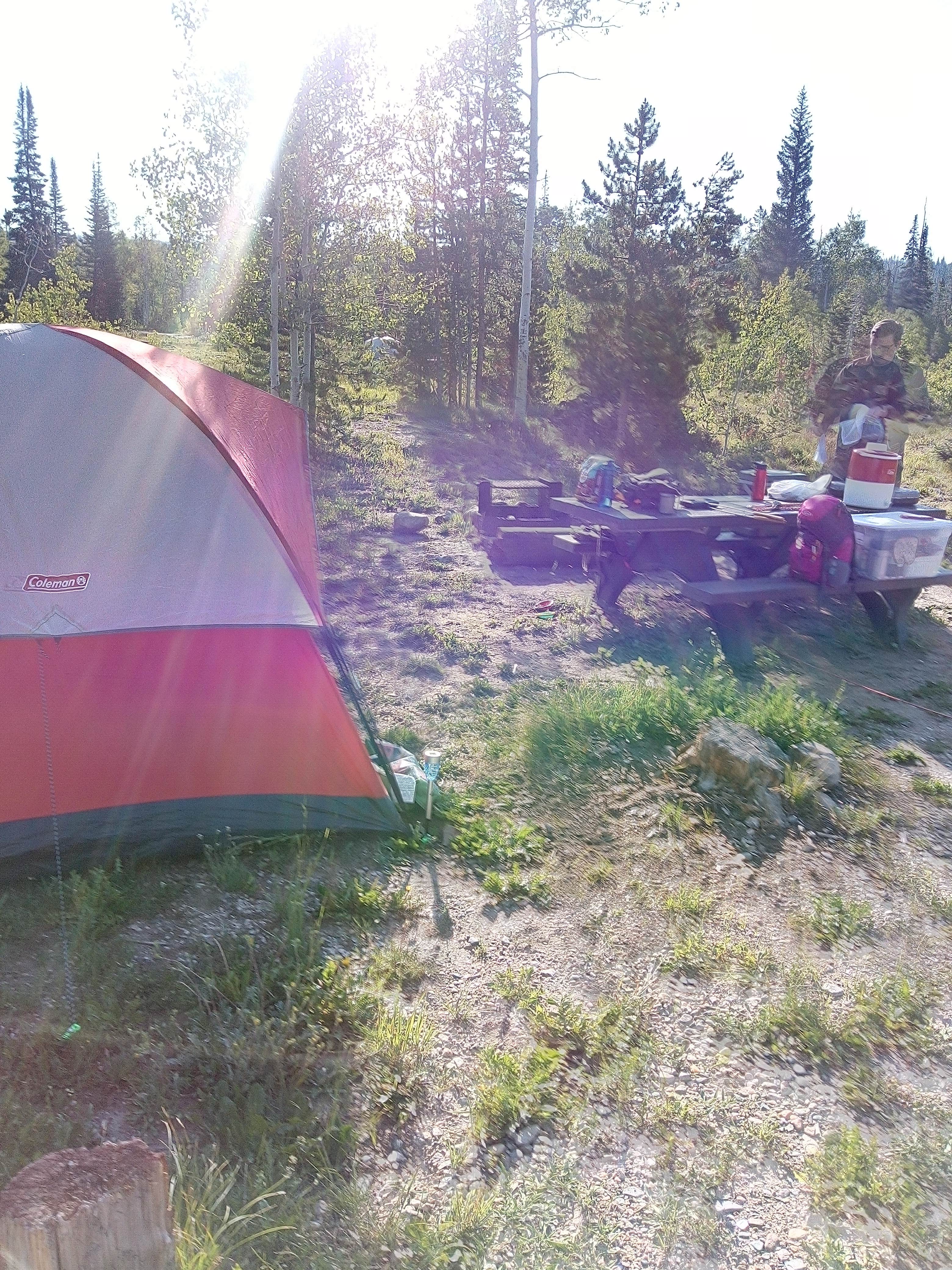 Camper submitted image from Ryan Park - 2
