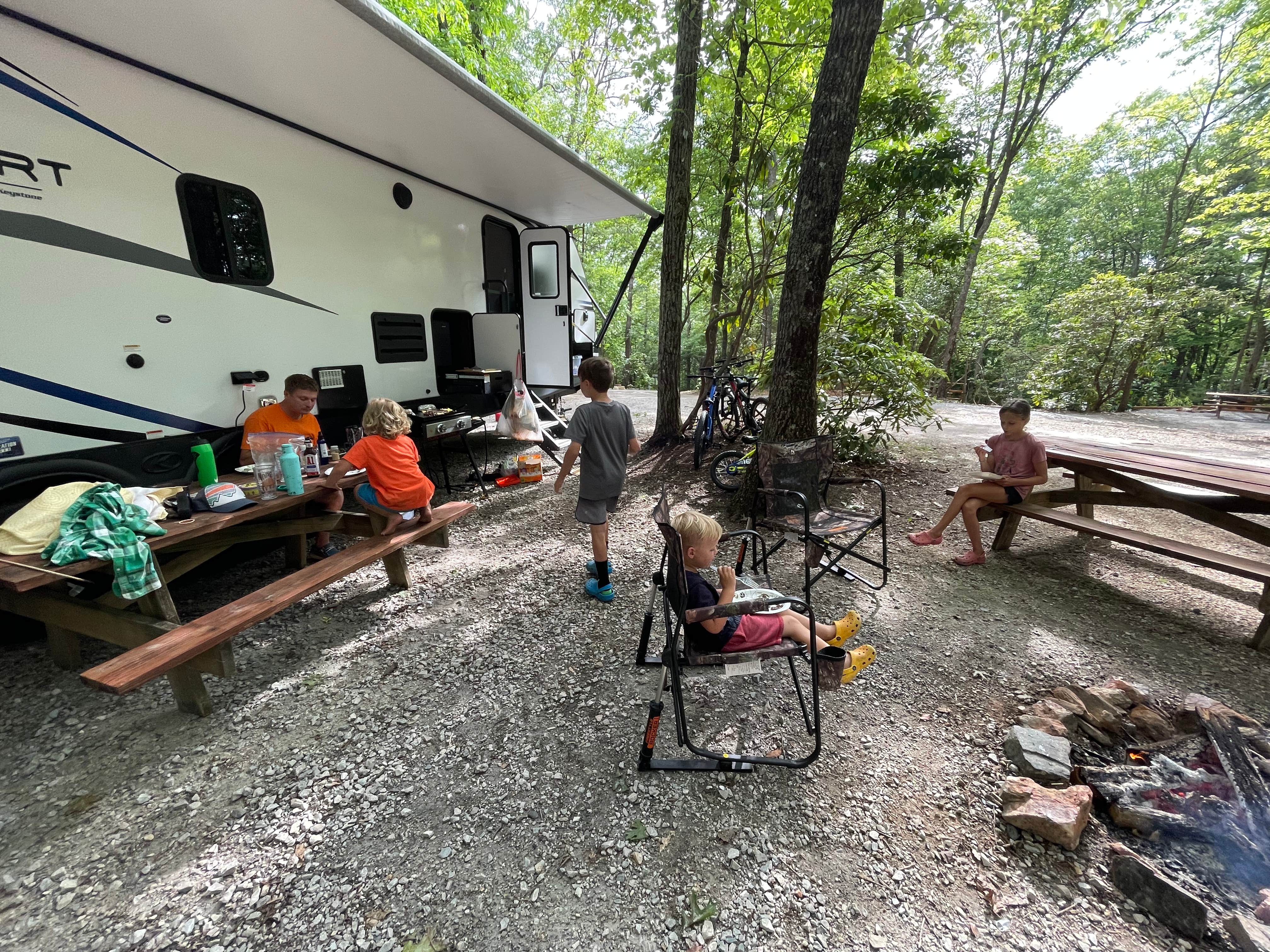 Megan M.'s photo at Spacious Skies Bear Den near Little Switzerland, NC