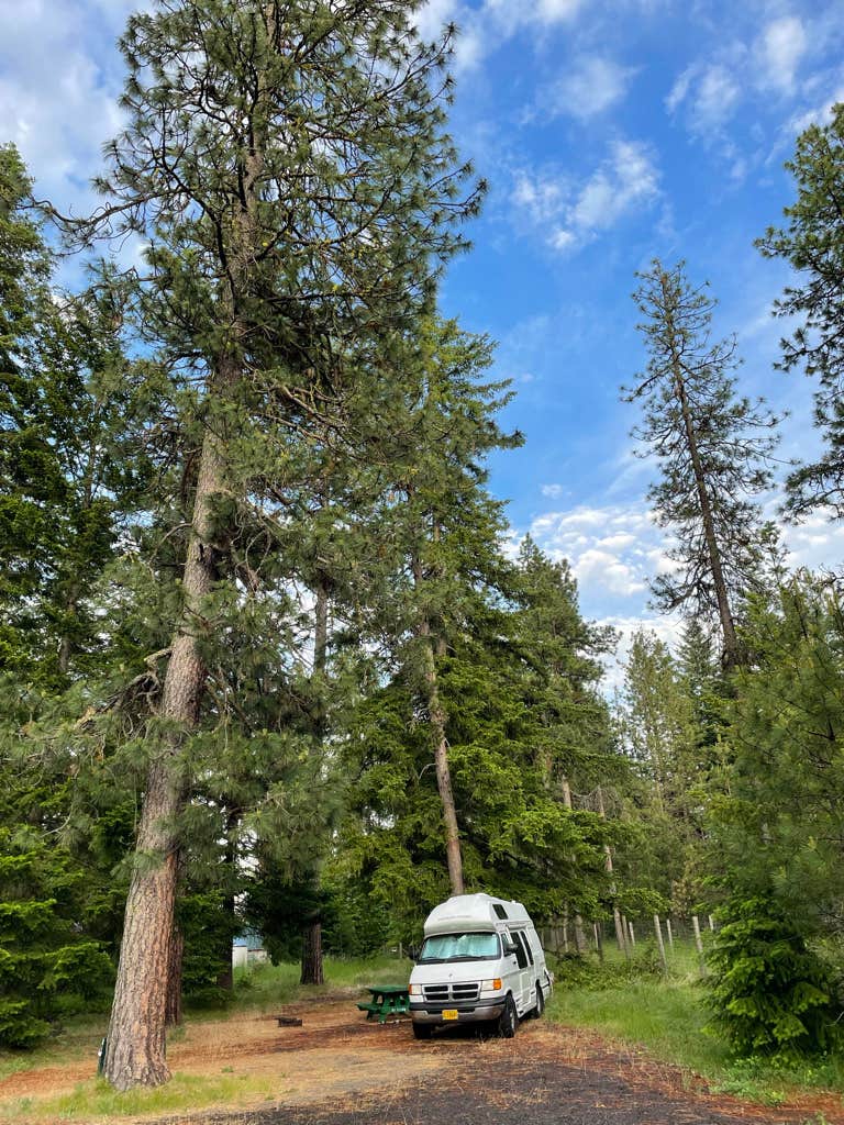 Camper-submitted photo at Trout Lake Guler Park near Trout Lake, WA