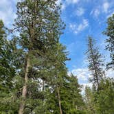 Review photo of Trout Lake Guler Park by Kathy B., July 9, 2021