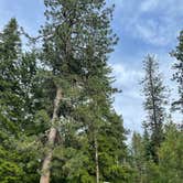 Review photo of Trout Lake Guler Park by Kathy B., July 9, 2021