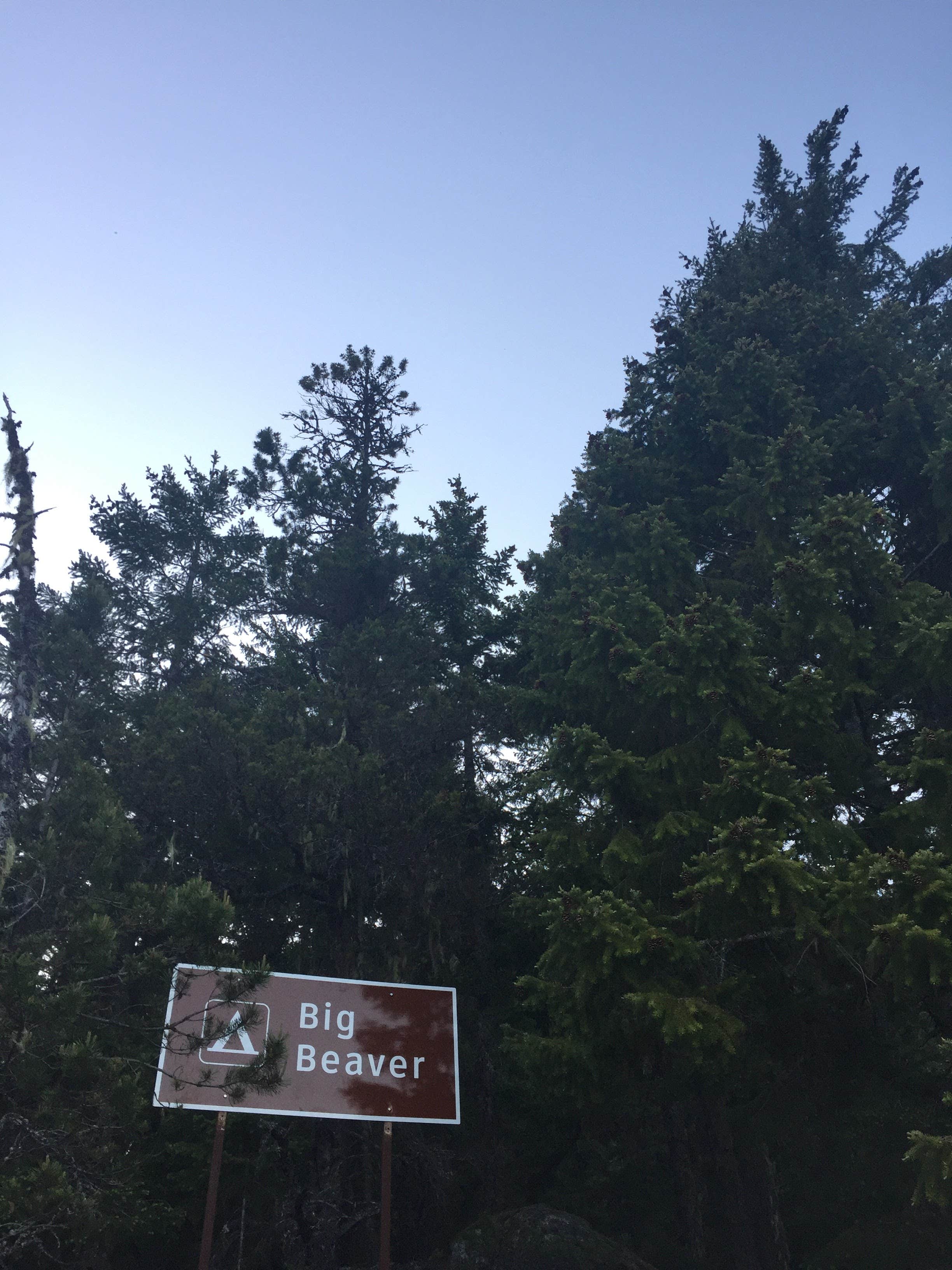 Camper-submitted photo at Big Beaver Campground near Mcleod, MT