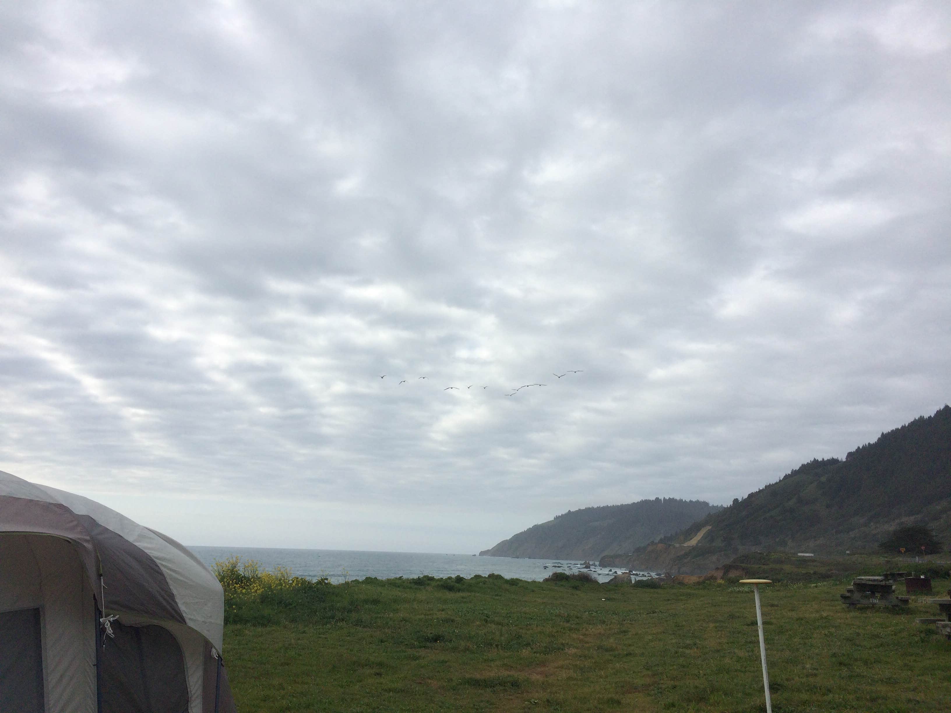 Jennifer M.'s photo at Westport Union Landing State Beach — Westport-Union Landing State Beach near Fort Bragg, CA