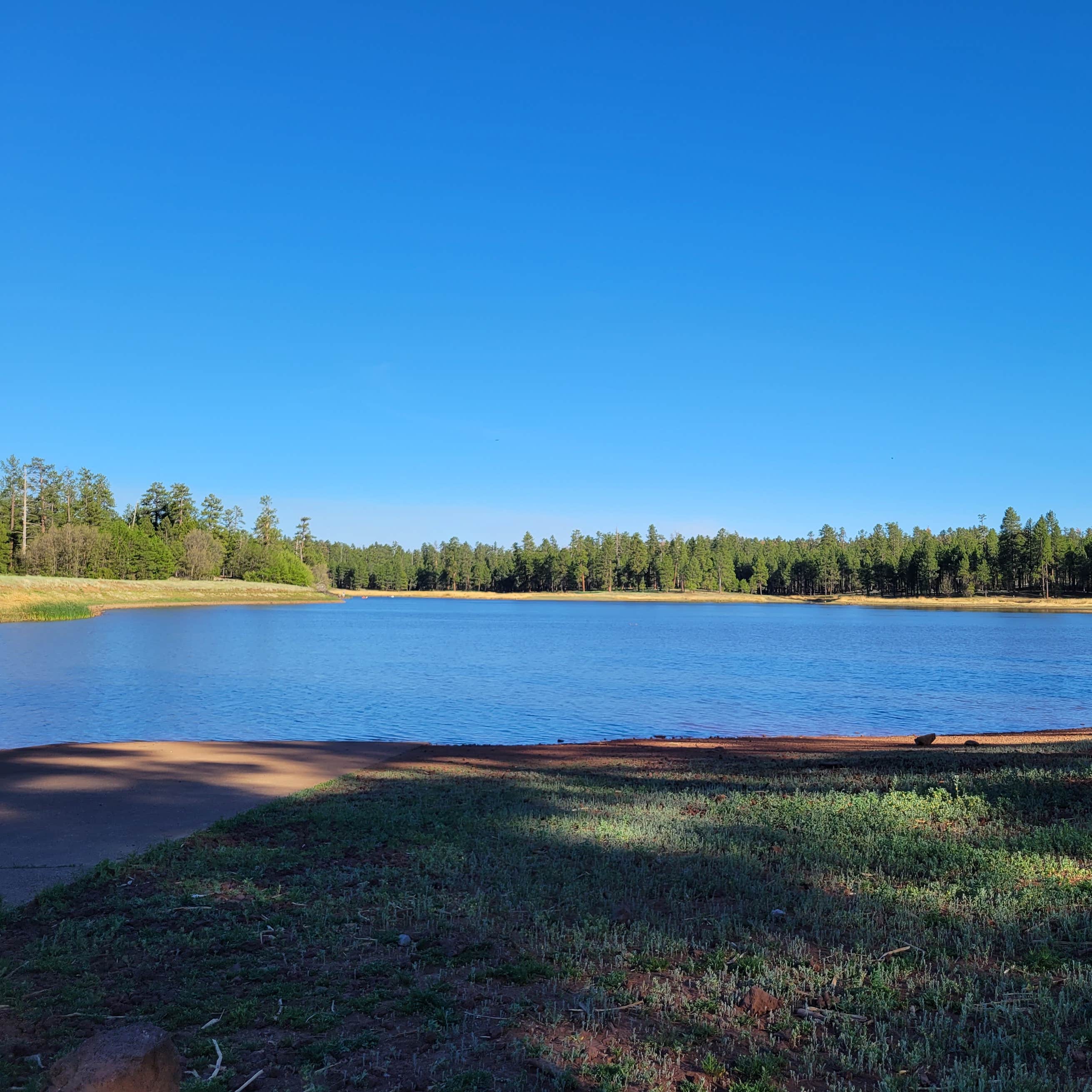 Kaibab National Forest White Horse Lake Campground Camping The Dyrt