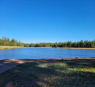 Camper-submitted photo from Kaibab National Forest White Horse Lake Campground