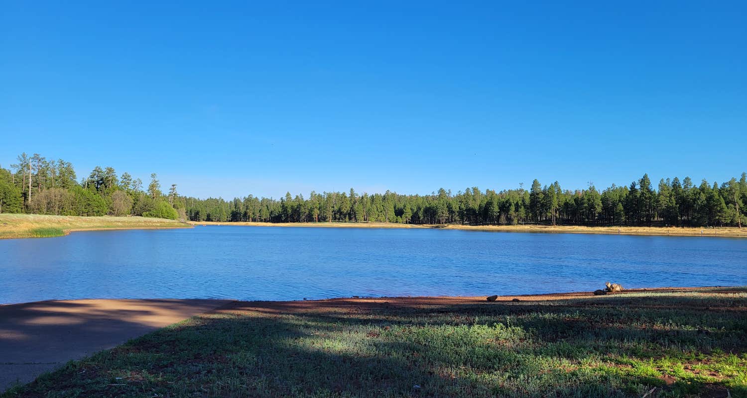White Horse Lake Campground The Dyrt