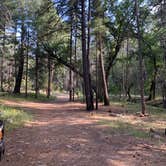 Review photo of Pinery Campground Lower - Dispersed by Michael B., July 9, 2021