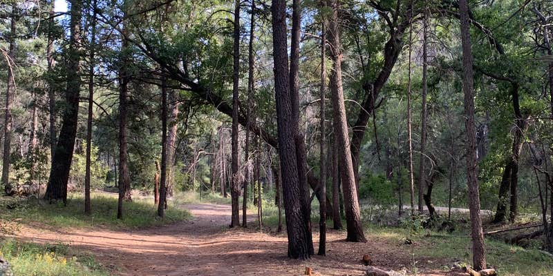 Camper submitted image from Pinery Campground Lower - Dispersed