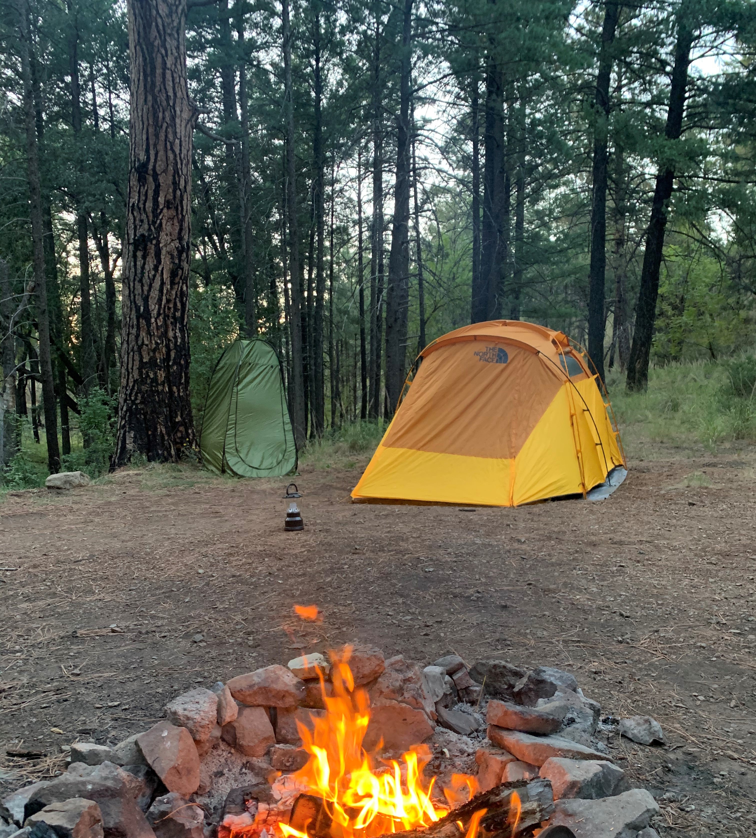 Camper submitted image from Pinery Campground Lower - Dispersed - 3