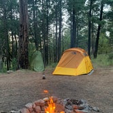Review photo of Pinery Campground Lower - Dispersed by Michael B., July 9, 2021