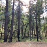 Review photo of Pinery Campground Lower - Dispersed by Michael B., July 9, 2021